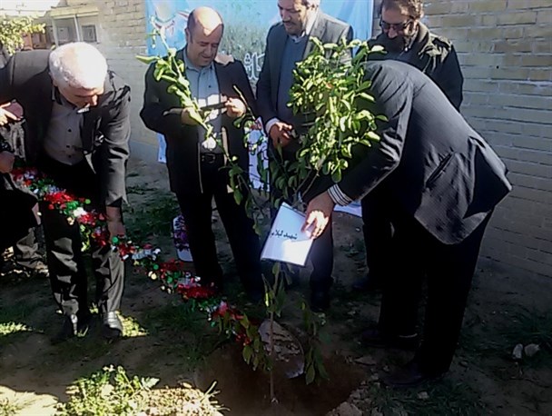 تصاویری از کاشت 37نهال در مدارس گچساران