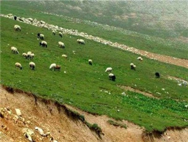 نقش اساسی در حفاظت از منابع ملی را مردم ایفا می کنند