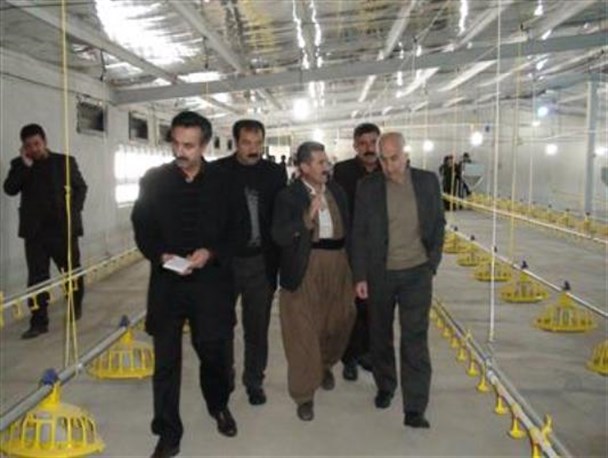 بهره برداری از 4 پروژه جهاد کشاورزی در شهرستان دیواندره