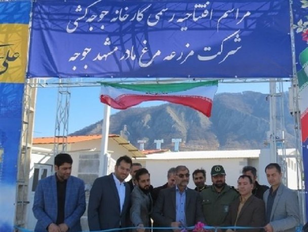 کارخانه جوجه‌کشی مرغ مادر مشهد در گالیکش افتتاح شد