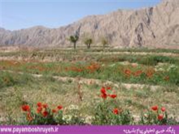 رویایی ترین روستای ییلاقی بشرویه +تصاویر