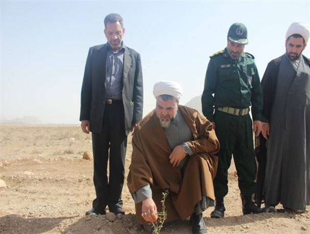 کمربند سبز مصلی بزرگ تفت با کاشت ۲۵۰اصله نهال احداث شد +تصاویر