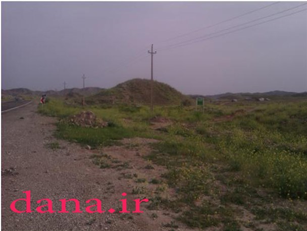 مرد درختی؛از جنگل 50 هزار تایی تا واقعیت