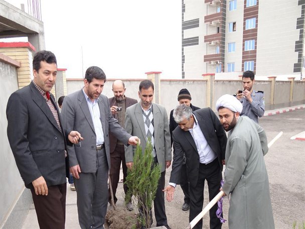 چند اصله درخت در مدارس میاندوآب کاشته شد