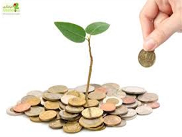 حرف آخر سرمایه گذار بشرویه :یا بکش یا دانه ده یا از قفس آزاد کن ...