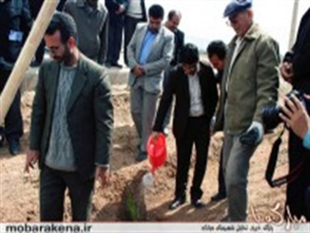 کاشت نهال در دانشگاه آزاد اسلامی واحد مبارکه