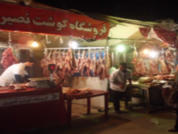 نمایشگاه بهاره در ساری +تصاویر