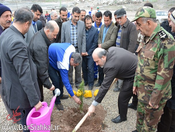 کشت ۱۰۰۰ اصله نهال در کارخانه سیمان دیلمان آغاز شد+گزارش تصویری