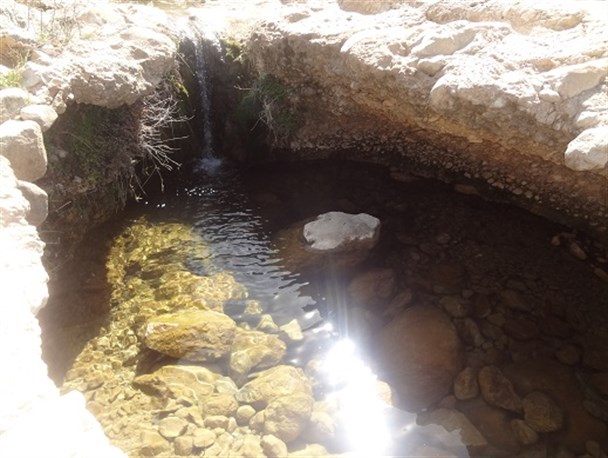طبیعت زیبای منطقه روباشتی تلچگاه به روایت تصویر