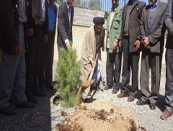 غرس نهال در اداره تبلیغات اسلامی شهرستان لنده/تصویر