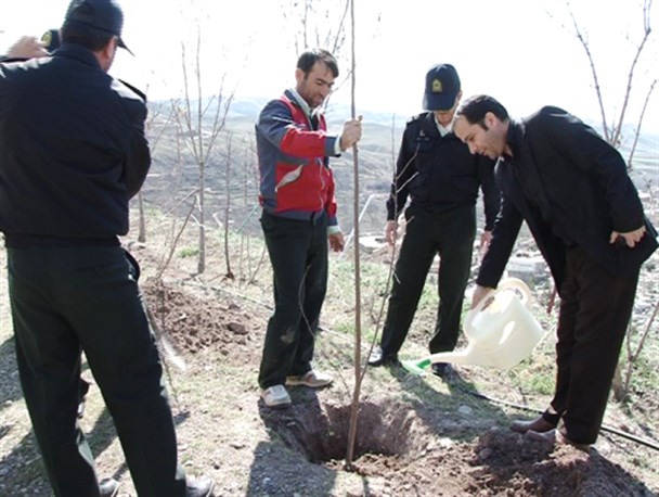 کاشت 87 اصله نهال به یاد 87 شهید شهرستان کوثر