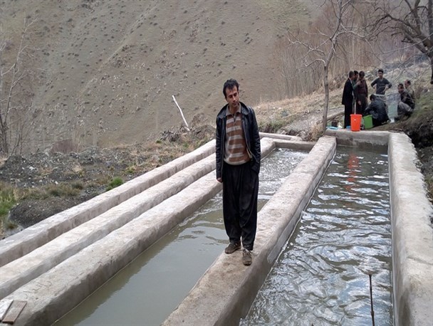 مقاوم سازی اقتصاد خانواده با پرورش ماهی توسط یک کارآفرین روستایی در سروآباد