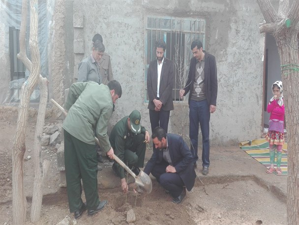 کاشت نهال در منازل شهدای شهر اسدیه