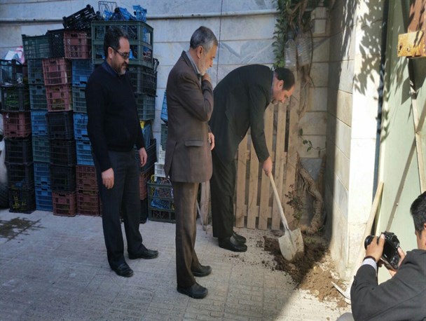 ۷۰ درخت به یاد ۷۰ شهید آبیکی در منازل شهدا غرس شد