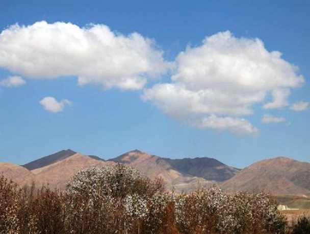 باغ شکوفه ها در محلات+تصاویر