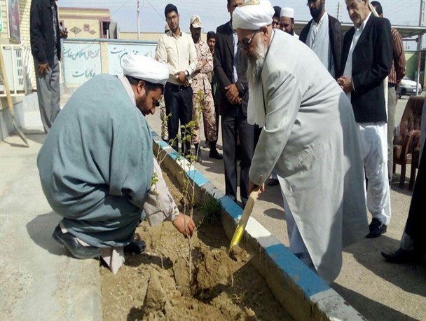گزارش تصویری/ کاشت باقیات الصالحات به دست علماء شیعه و سنی