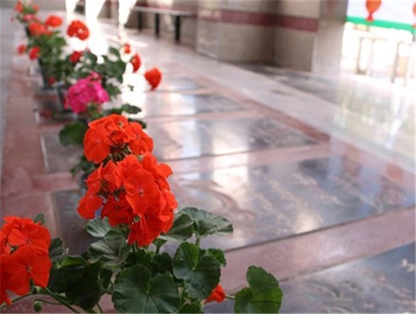 قبورمطهرشهدای اردکان گلباران شد