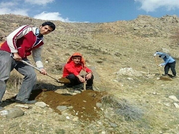 کاشت درخت در ارتفاعات "بید محب" توسط کوهنوردان تویسرکانی