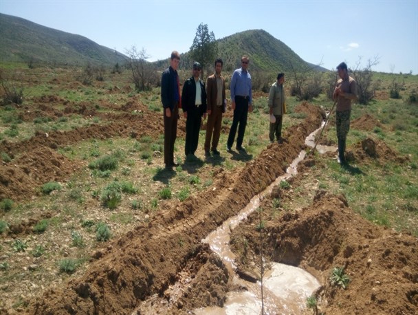 پروژه جنگل کاری مشارکتی قره آقاج روستای کاستان به عنوان طرح برتر کشوری
