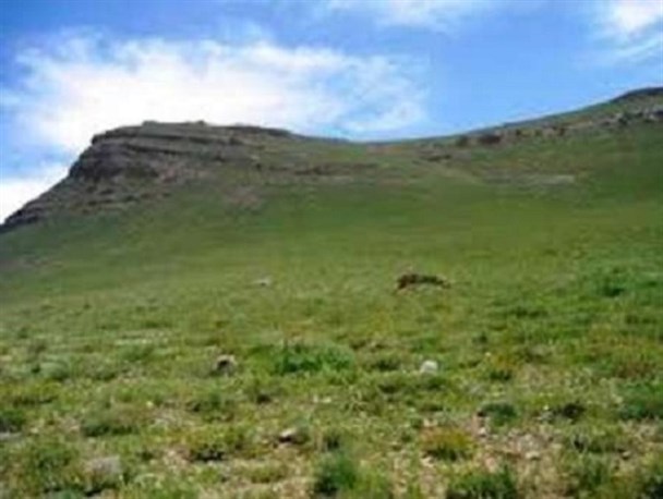 ۴۰۰۰ هکتار از مراتع شهرستان کمیجان بیمه شدند