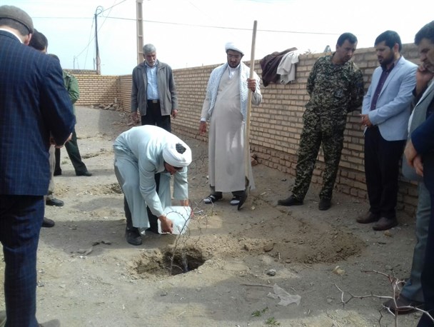 کاشت درخت مثمر در دهستان شوسف+تصاویر