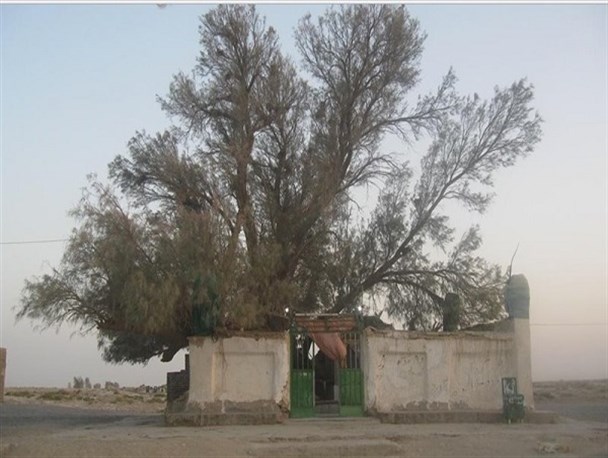 ورود آقایان به این زیارتگاه ممنوع است/ از مزار بی بی دوست در سیستان تا گره زدن پارچه ها برای برآوردن حاجت