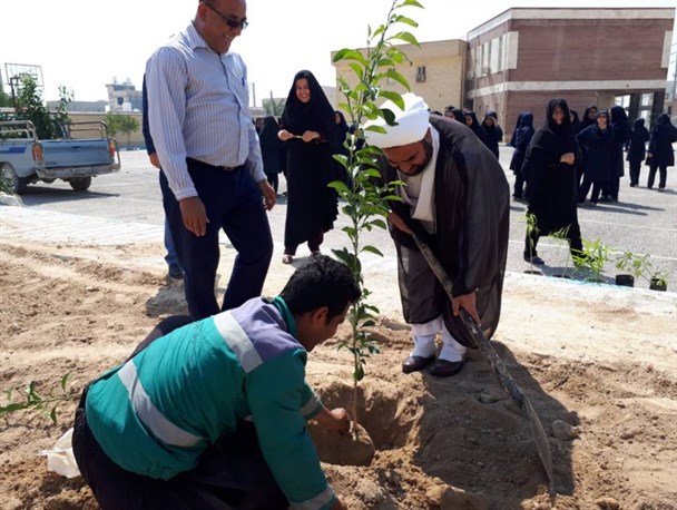کاشت ۲۵۰ نهال نارنج در مدارس و شهر سیراف