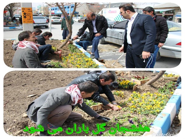۲۰۰۰ اصل نهال و کاشت گل های تزیینی غرس شد