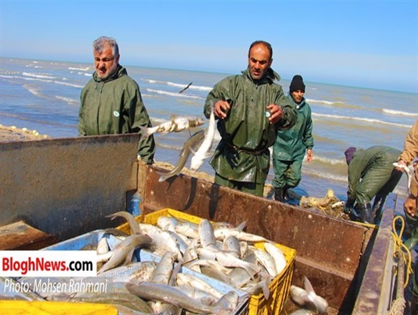 تلاش صیادان جویباری برای روزی حلال