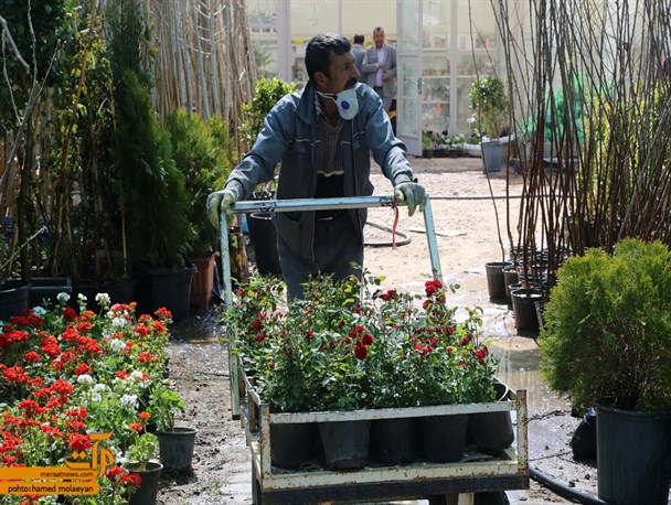 بازار نوروزی گل و گیاه در سمنان