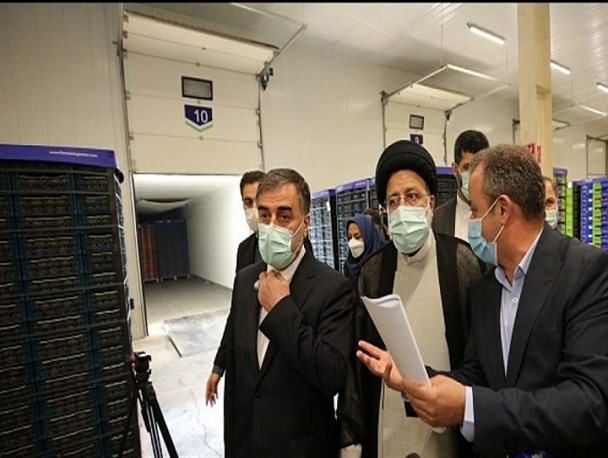 دانش بسته‌بندی پیشرفته محصولات کشاورزی بومی‌سازی شود/ لزوم راه‌اندازی مراکز نگهداری محصولات باغی در قطب‌های کشاورزی