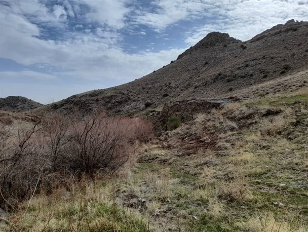 تصاویری از منطقه حفاظت شده پلنگ دره قم در آستانه فصل بهار