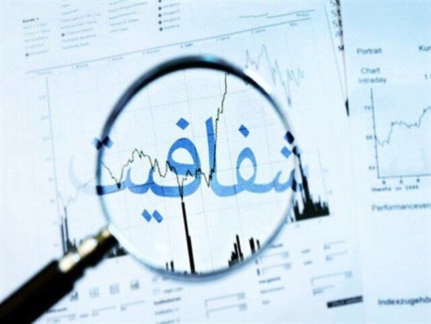 شفافیت در صورت های مالی شرکت های دولتی/ نورافکن دولت به صورت های مالی شرکت های دولتی خورد