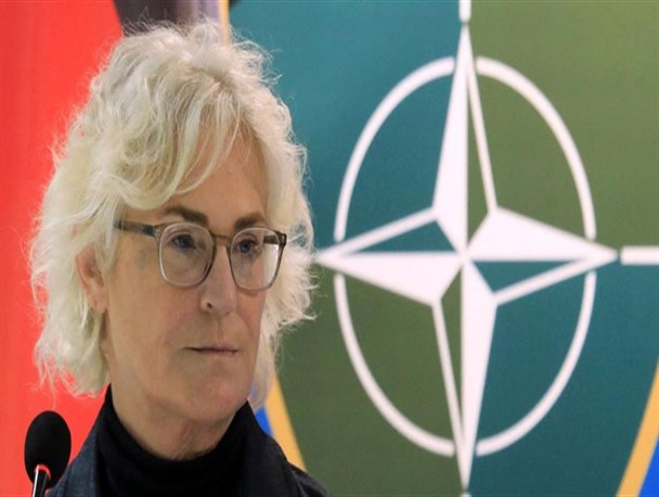 وزیر دفاع آلمان استعفا کرد