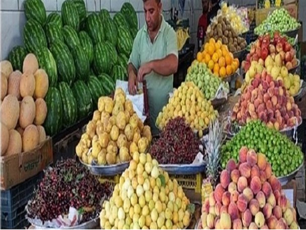 در زاهدان چه نهالی میوه ای پرورش دهیم؟