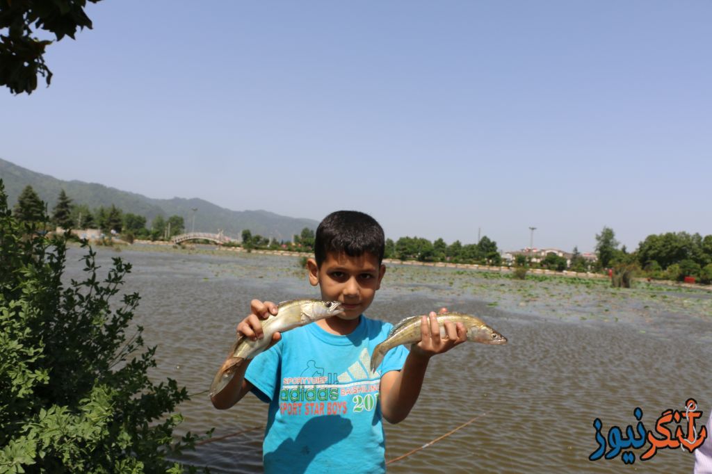 ماهیگیری