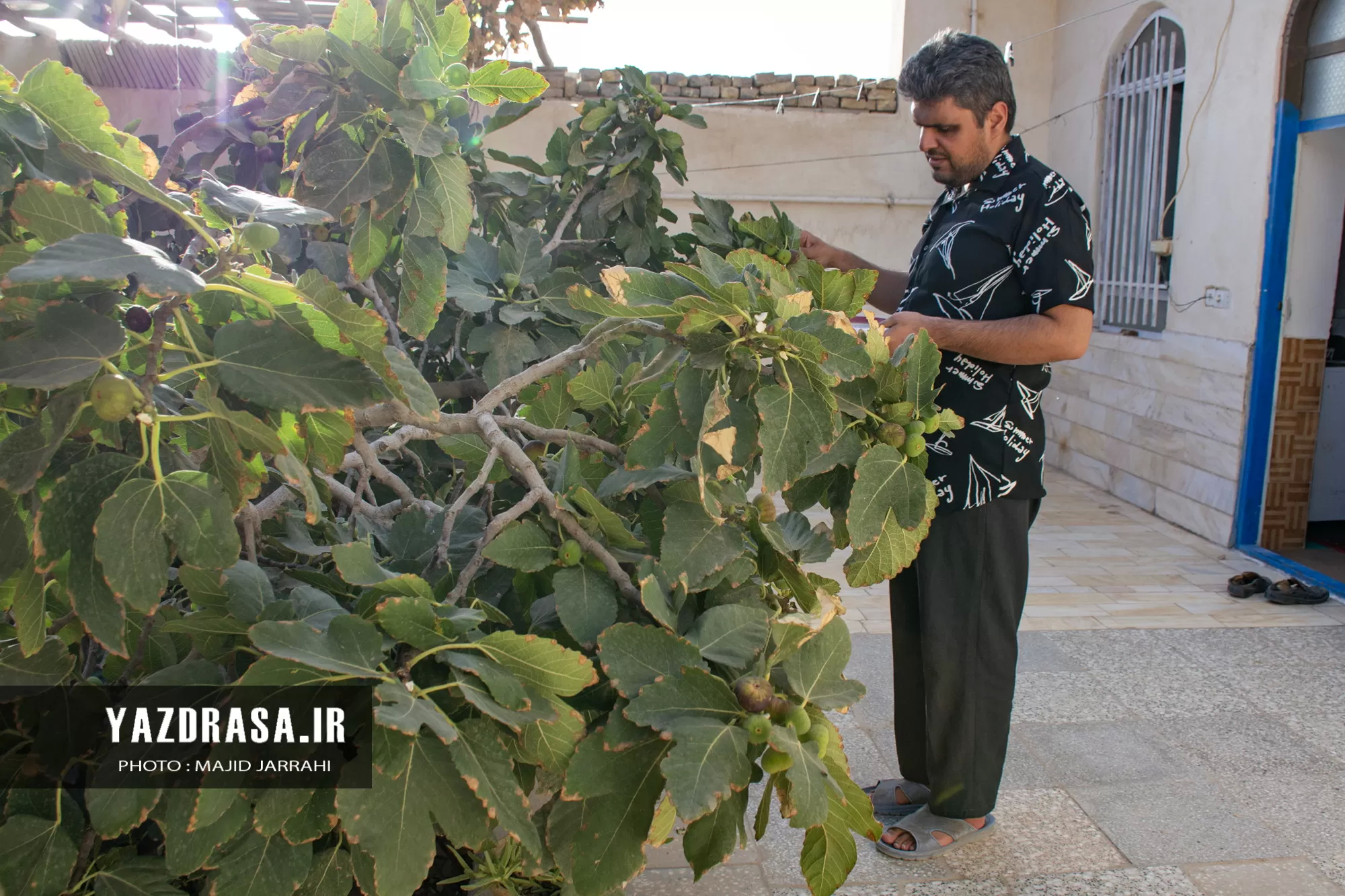 جوان نابینای زیلوباف