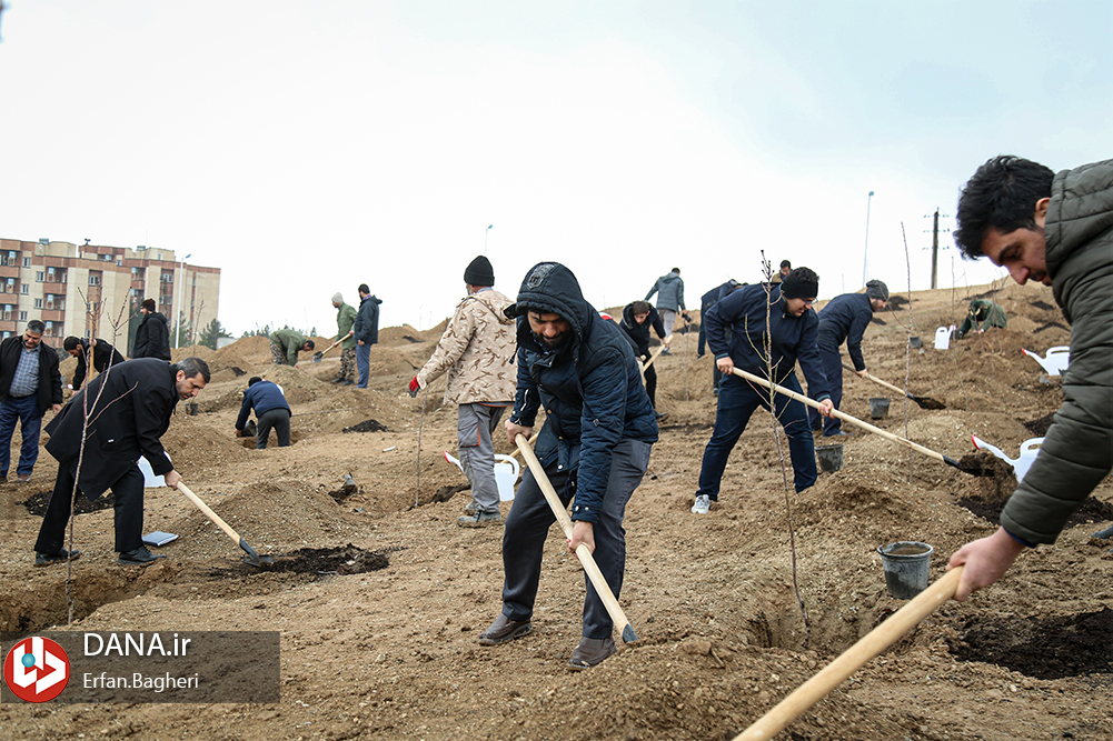 مراسم روز درختکاری در دانشگاه امام حسین(ع)