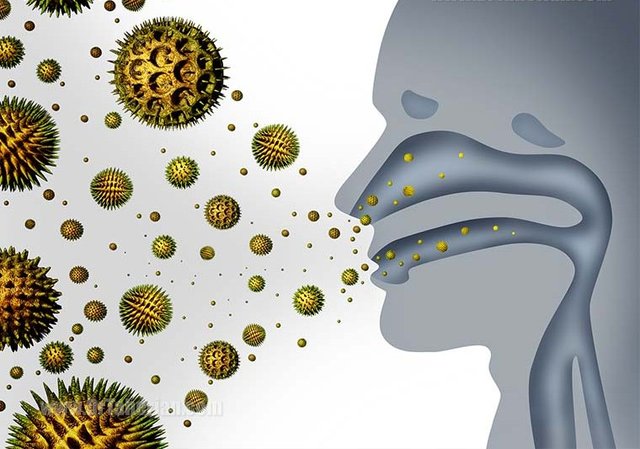 هشدار اوج‌گیری آلرژی‌های تنفسی در بهار / پیشگیری، کلید طلایی مقابله با حساسیت فصلی