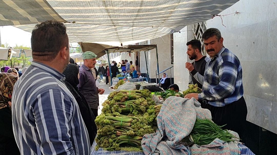 زینت سفره‌ کردستانی‌ها با گیاهان بهاری