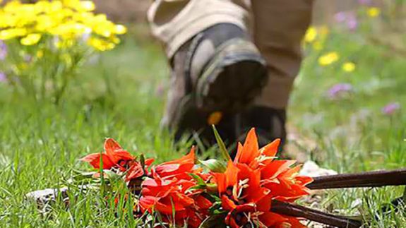 قانون ضعیف و فرهنگ فراموش‌شده گردشگران