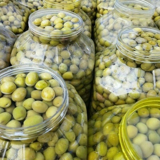 کار آفرین هرمزگانی