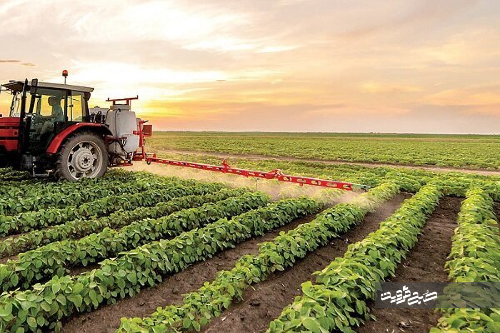 رعایت «الگوی کشت»، التیام‌بخشِ تشنگی دشت قزوین