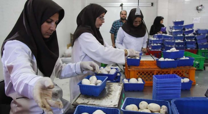 حادثه‌ای تلخ که از یک بانو، کارآفرین ساخت