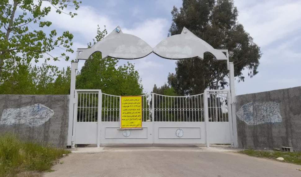 اکولوژی، نفس خزر؛ یکی که برود، دیگری می‌میرد