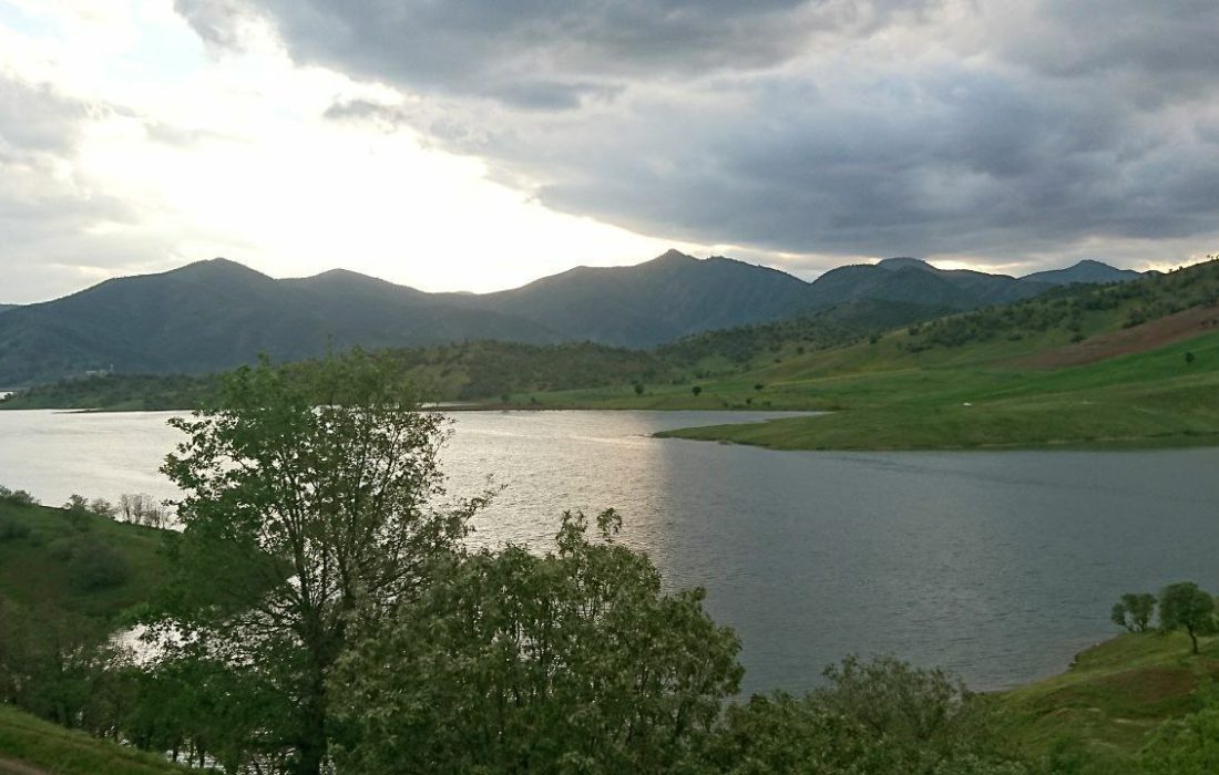 رودی که با رئیسی جوشید