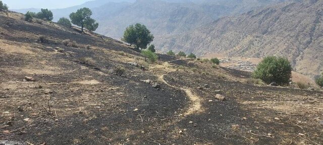 مهار آتش‌سوزی در منطقه حفاظت‌شده سبزکوه 