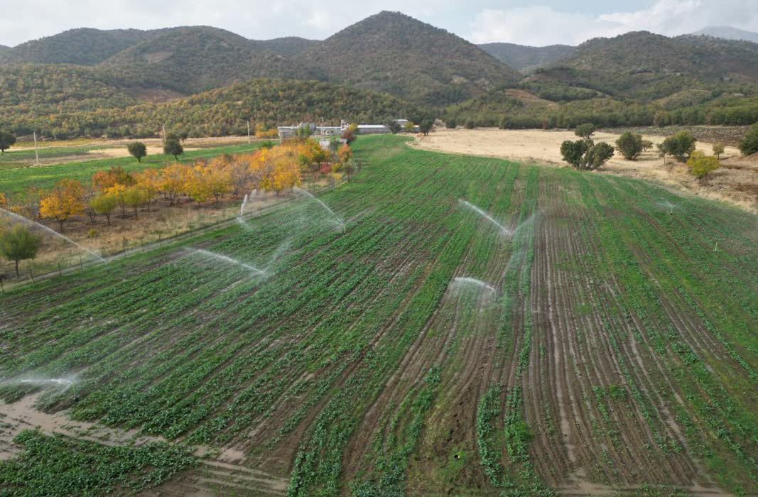 گام‌های مؤثر شهید رئیسی در رونق اقتصادی مریوان