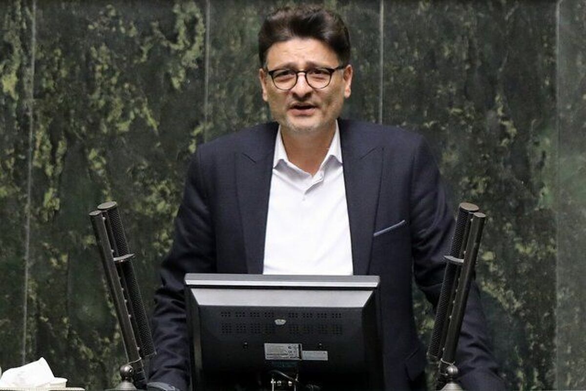 لزوم نظارت جدی مجلس بر فعالیت سایت‌ها و بسترهای اینترنتی در مقابله با جرایم سایبری