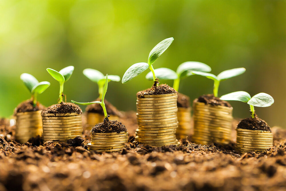 مسیر شکوفایی از دل سرمایه‌گذاری هدفمند